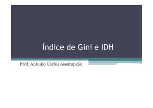 Índice de Gini e IDH