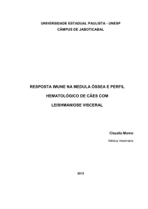 RESPOSTA IMUNE NA MEDULA ÓSSEA E PERFIL