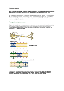 Clique aqui para baixar em PDF.