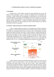 Material Suporte: Calagem e adubação em pastagens