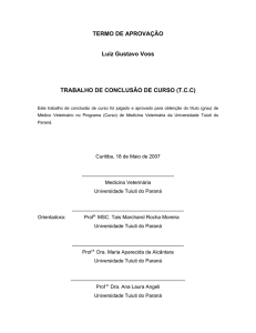 trabalho de conclusao de curso - TCC On-line