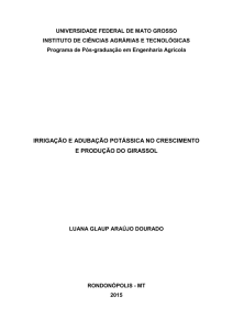 irrigação e adubação potássica no crescimento e produção