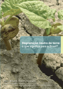 Degradação neutra de terra: o que significa para o Brasil?