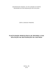 plasticidade morfológica de árvores e sua aplicação na