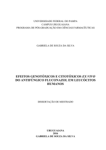 Dissertação Final em PDF