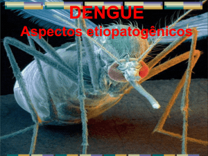 Dengue, Diagnóstico e Manejo Clínico Dengue