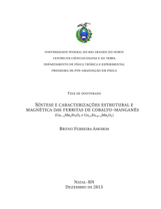 Bruno Ferreira Amorim - Tese de doutorado - GNMS