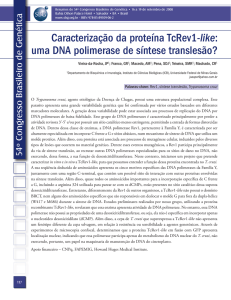 uma DNA polimerase de síntese translesão?