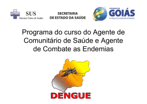 Aula de dengue para o curso do ACS e ACE 2011[1]