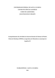 Acompanhamento das atividades de desenvolvimento do Sistema