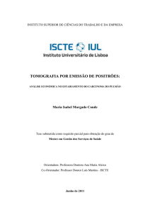 Tese_Isabel Conde - Repositório do ISCTE-IUL