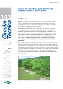 Cultivo da Pupunheira para Palmito nas Regiões - Infoteca-e