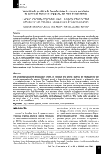 Variabilidade genética de Spondias lutea L. em uma população do