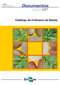 Catálogo de cultivares de batata