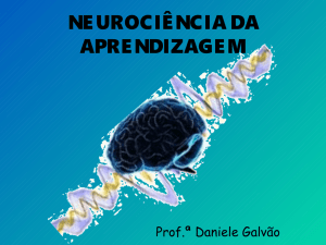 neurociência da aprendizagem
