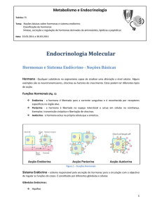Endocrinologia Molecular