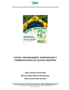 cultivo, processamento, padronização e comercialização do açaí na