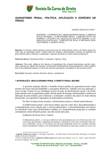 garantismo penal: política, aplicação e espécies de penas