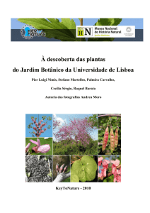 À descoberta das plantas do Jardim Botânico da