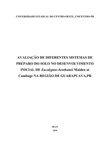 Link para arquivo PDf