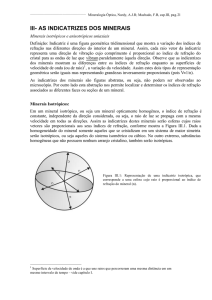 III- AS INDICATRIZES DOS MINERAIS