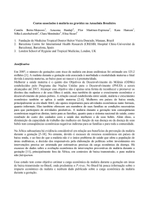 Custos associados à malária na gravidez na Amazônia Brasileira