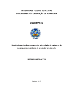 dissertação - Sociedade Brasileira de Fruticultura