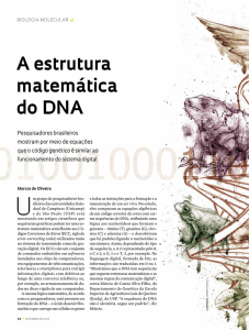 A estrutura matemática do DNA