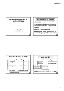 formação da semente de angiospermas - Esalq