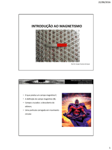 introdução ao magnetismo - Sergio Turano