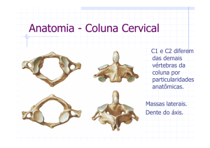 Anatomia - Coluna Cervical