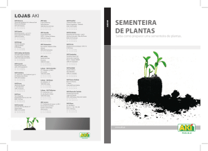 sementeira de plantas