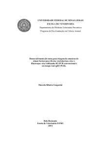 Desenvolvimento e padronização de um procedimento operacional