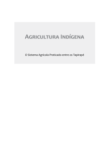Agricultura Indígena - Hospedagemdesites.Ws