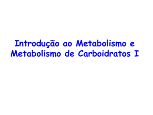 Metabolismo_Glicólise_Mari