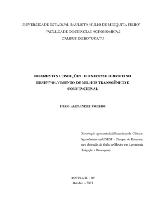 DIFERENTES CONDIÇÕES DE ESTRESSE HÍDRICO NO