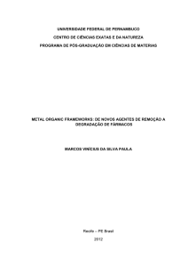 Metal Organic Frameworks: De novos agentes de remoção a