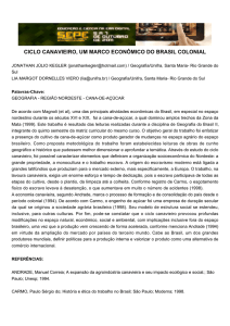 ciclo canavieiro, um marco econômico do brasil colonial