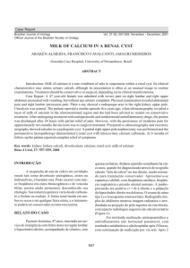 milk of calcium in a renal cyst - International Brazilian Journal Of