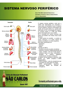 sistema nervoso periférico - Centro de Educação São Carlos