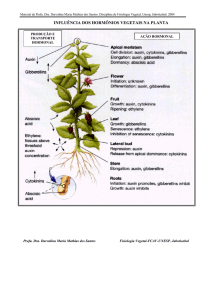 influência dos hormônios vegetais na planta