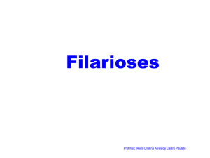 Filarioses - Farmácia UNISA 2008