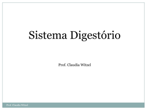 Sistema Digestório - Professora Claudia