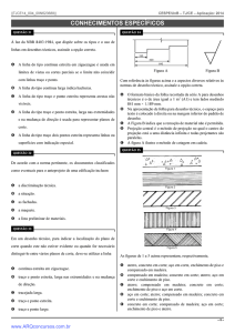 conhecimentos específicos