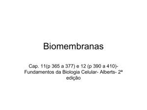 Biomembranas - Laboratório de Biologia