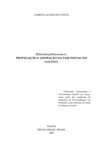 Heliconia psittacorum L.: PROPAGAÇÃO E
