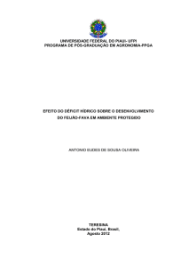 Efeito de déficit hídrico sobre o desenvolvimento do feijão-fava