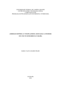 PDF da dissertação