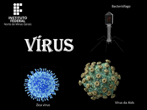 Zica vírus Vírus da Aids Bacteriófago