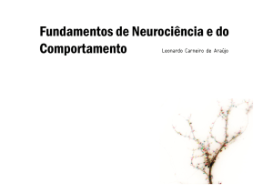 Fundamentos de Neuroci&ecirc;ncia e do Comportamento